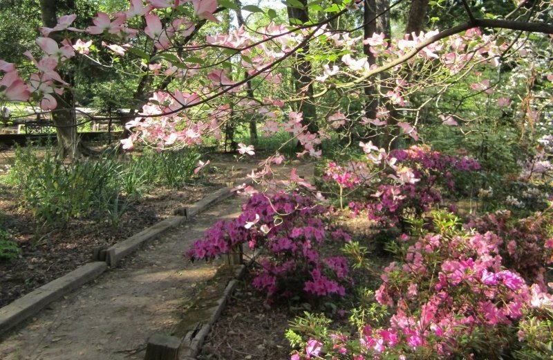 Hortus Botanicus Leiden